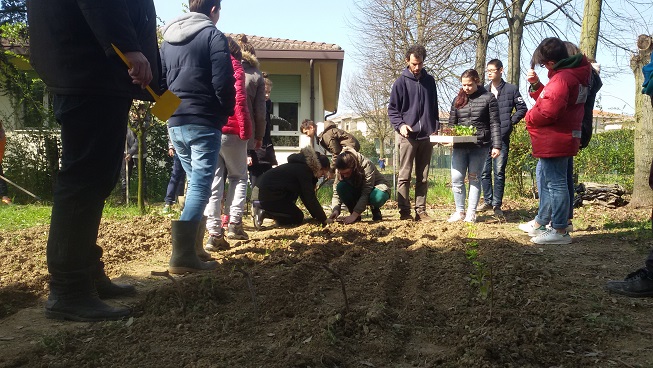 trapianto